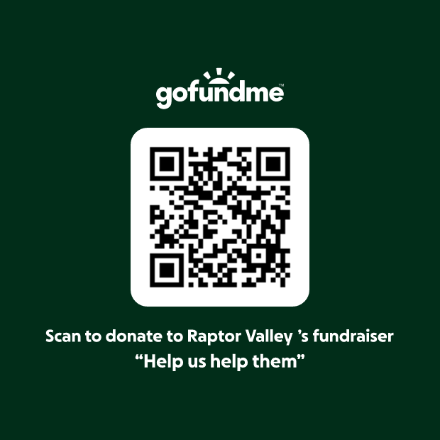 gofundme link